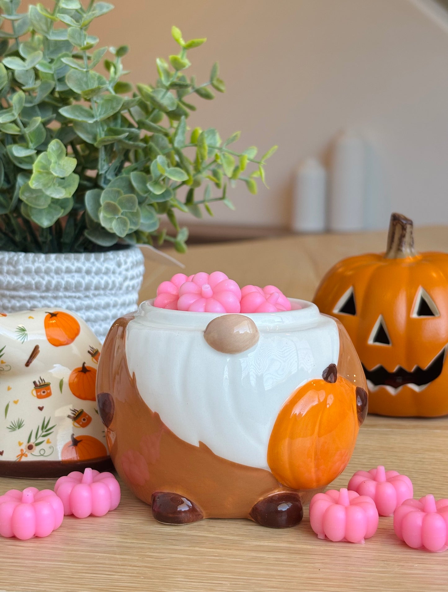 Cashmere Pumpkin Wax Melts - Pink