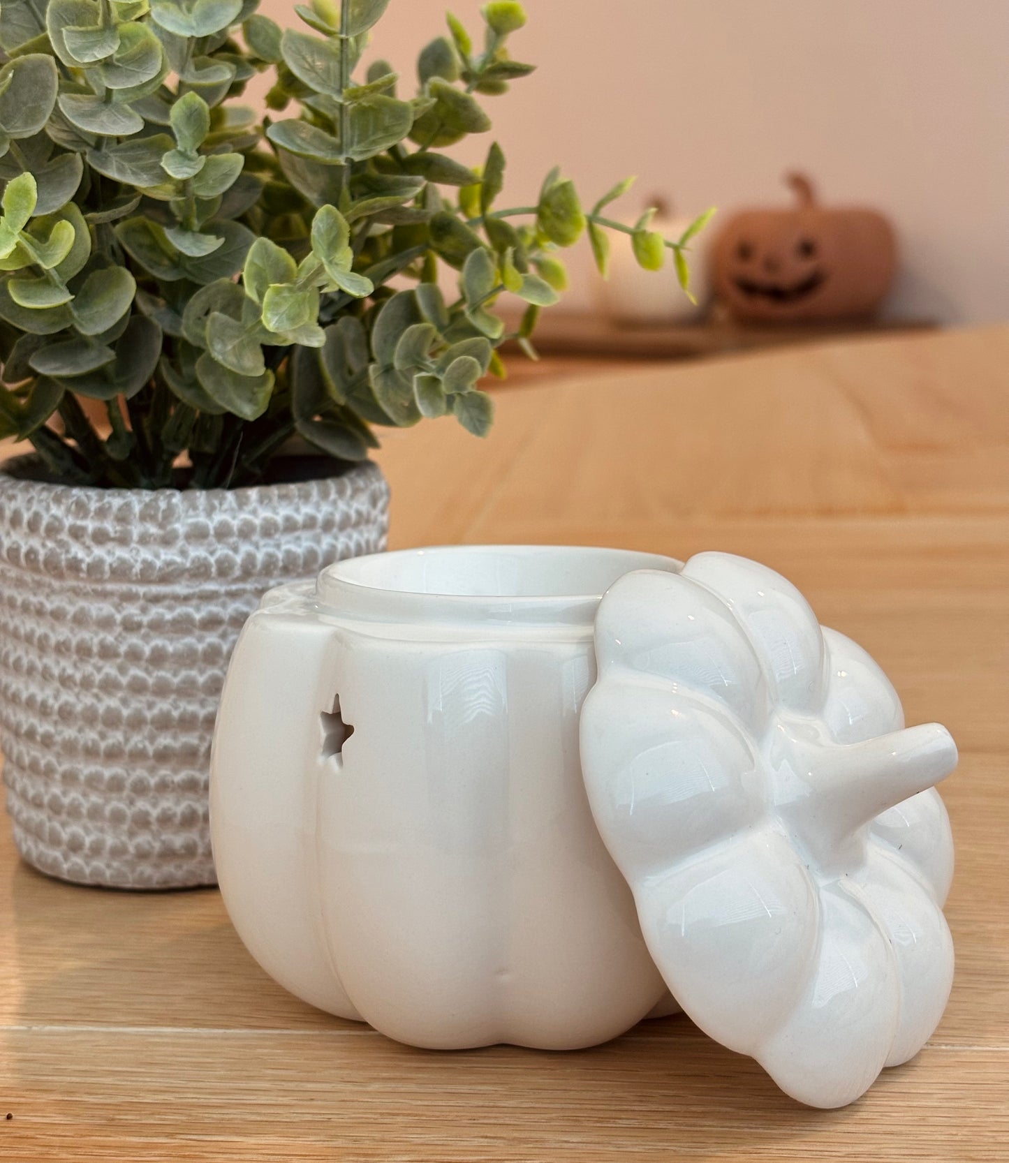White Pumpkin Wax Warmer