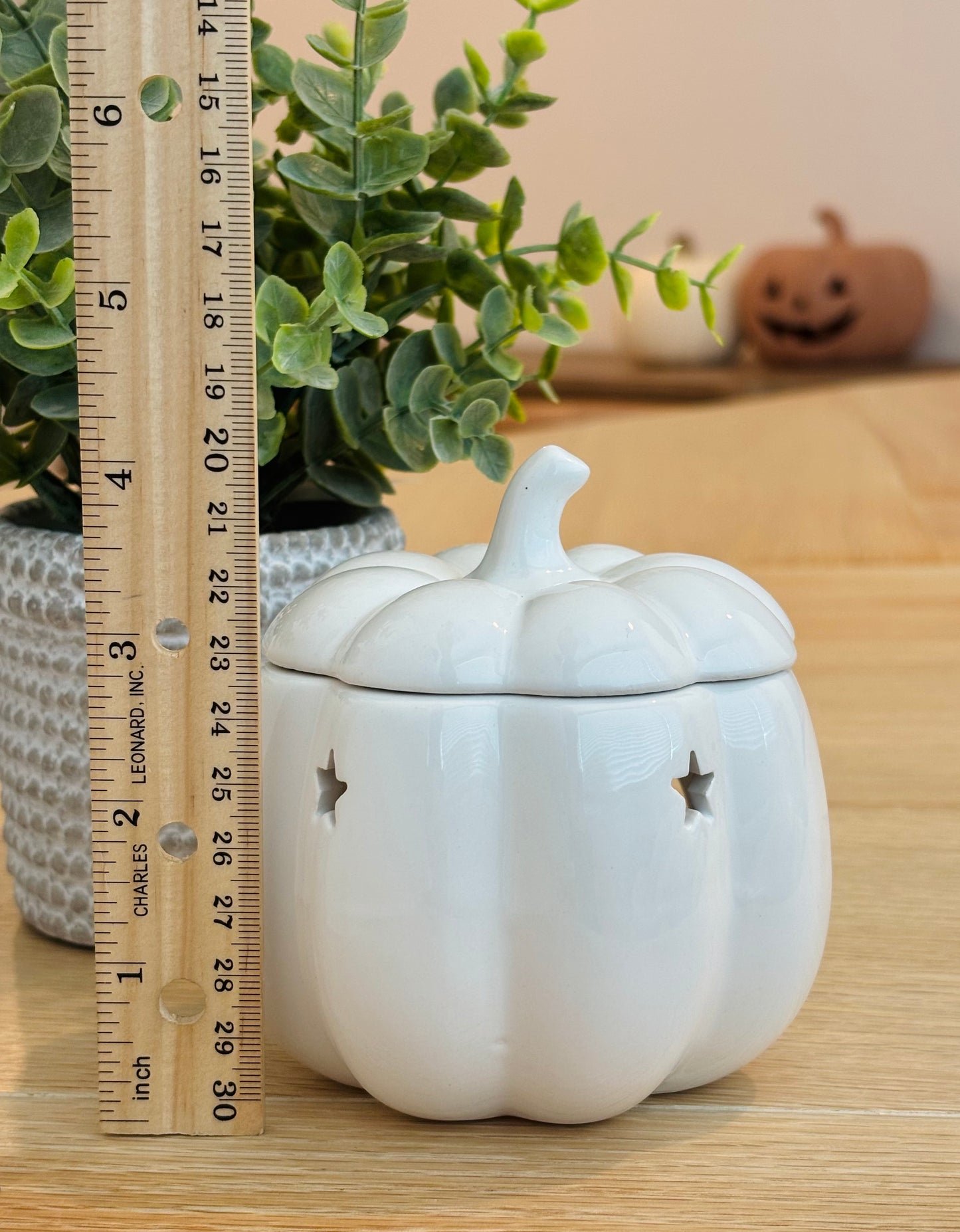 White Pumpkin Wax Warmer