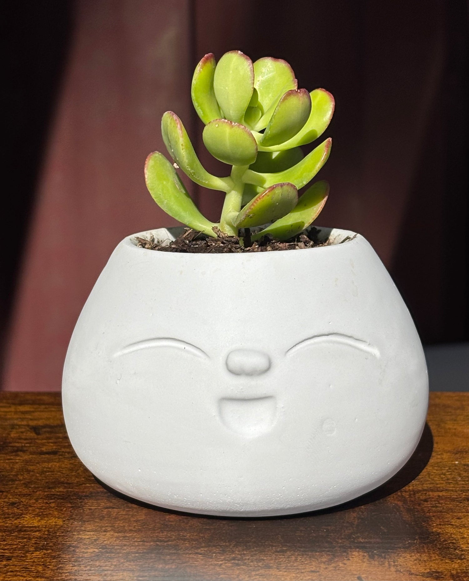 Planters