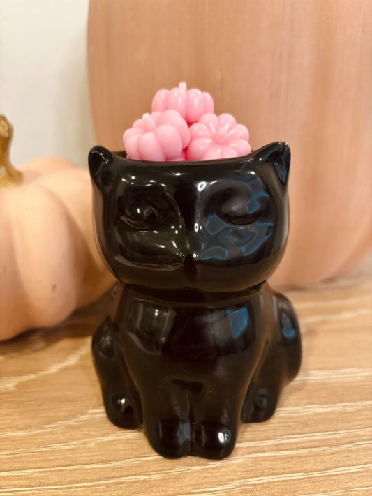 A gift-ready display of Cashmere Pumpkin Wax Melts in soft pink, with multiple 3D pumpkin shapes nestled in a decorative box. The packaging includes fall-themed accents, making it perfect for seasonal gifting.