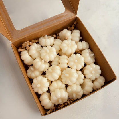 Cashmere Pumpkin Wax Melts - White