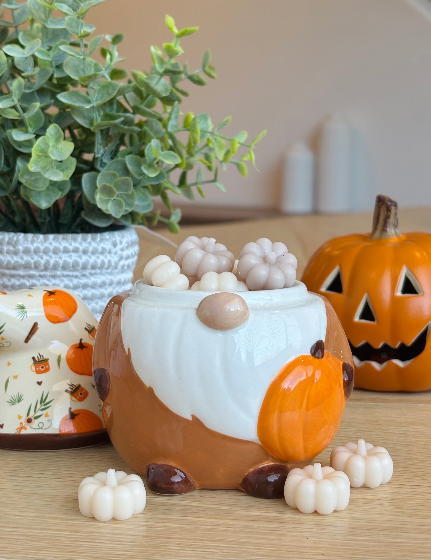 Fall Gnome Wax Warmer