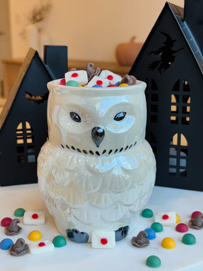 Hogwarts Magic Wax Melts