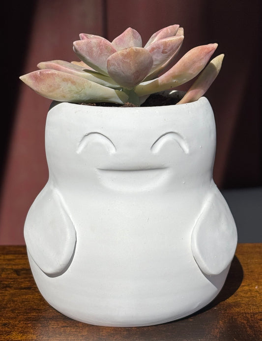 Higley Planter - Tall