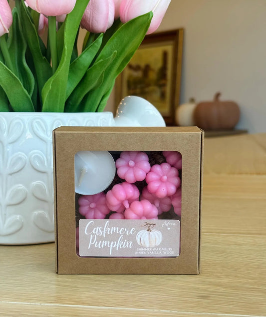 Cashmere Pumpkin Wax Melts - Pink