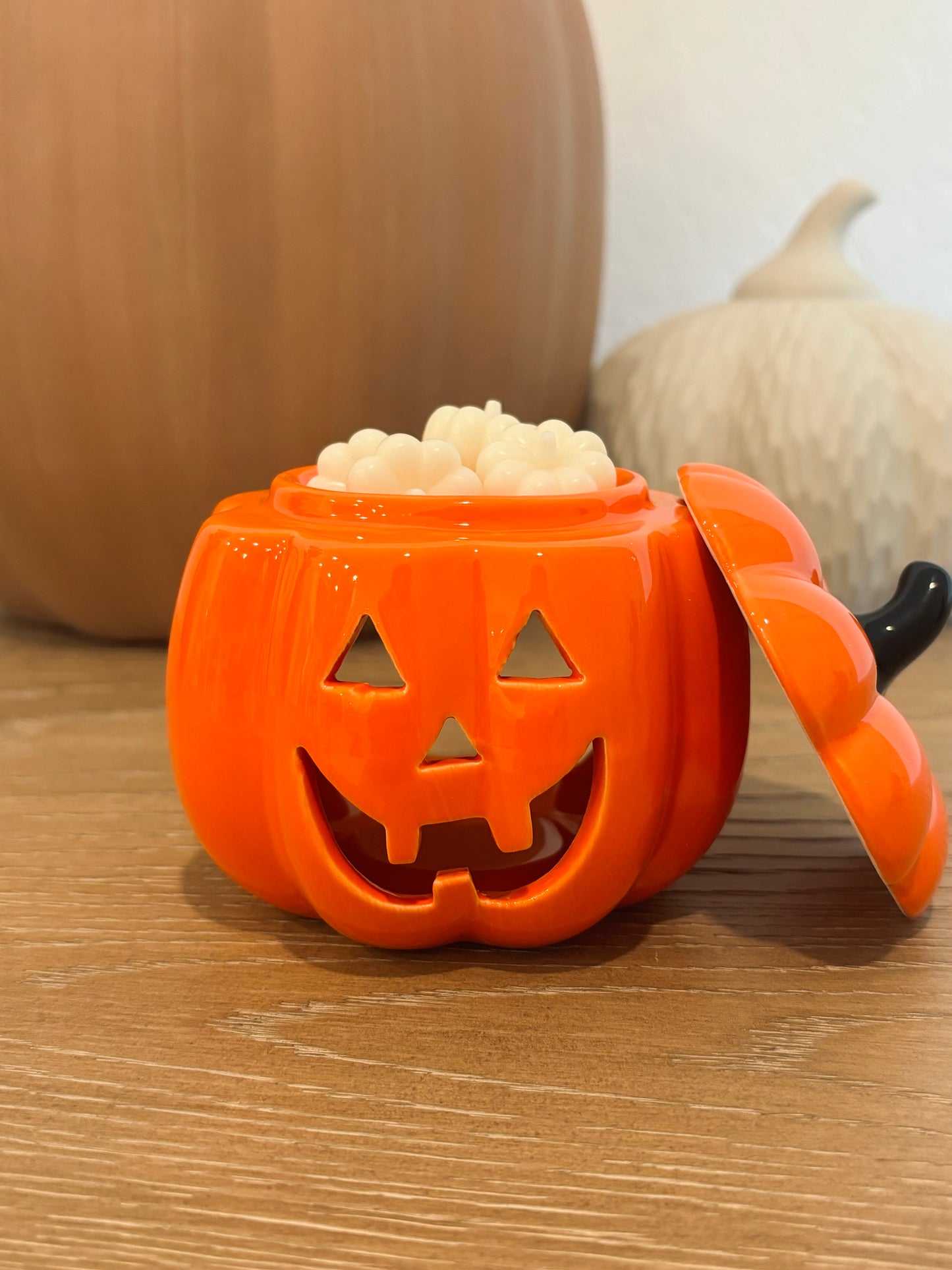 Cashmere Pumpkin Wax Melts - White